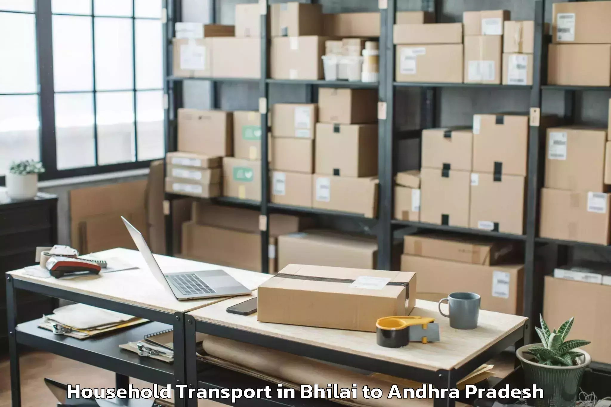 Professional Bhilai to Thamminapatnam Household Transport